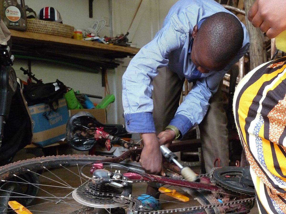 Miniature af The Bicycle Mechanic